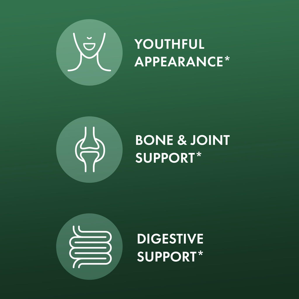 Dr. Mercola Organic Bone Broth Collagen