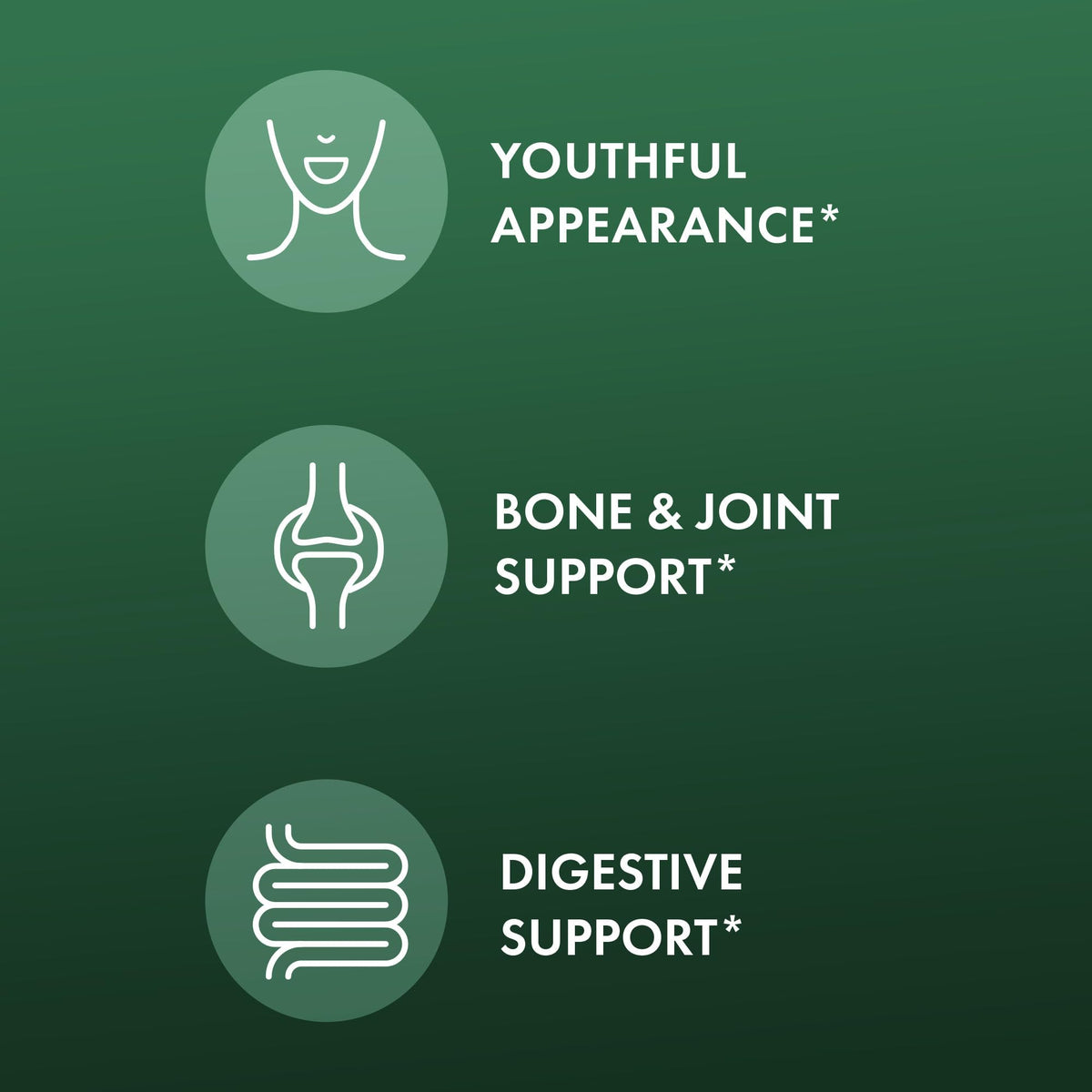 Dr. Mercola Organic Bone Broth Collagen