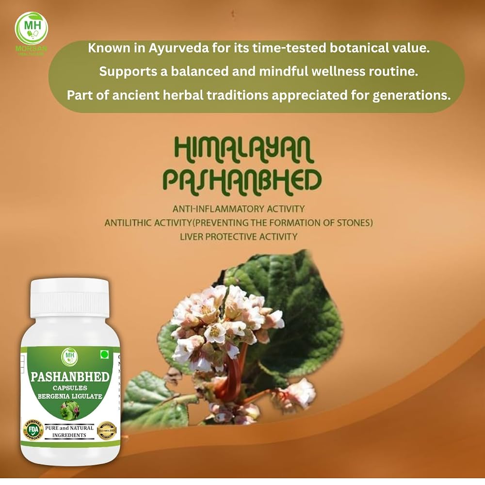 Morsan Healthcare Pashanabheda Powder - 120 Vegetarian Capsules - image 5
