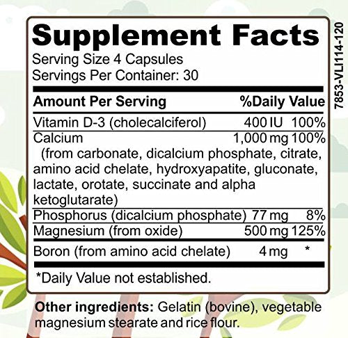 Herbal Forest Calcium & Magnesium Plus - 100 Capsules - image 2