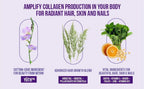 InnoSupps Hair + Skin + Nails Supplement Vegan Collagen - 60 Capsules - image 3