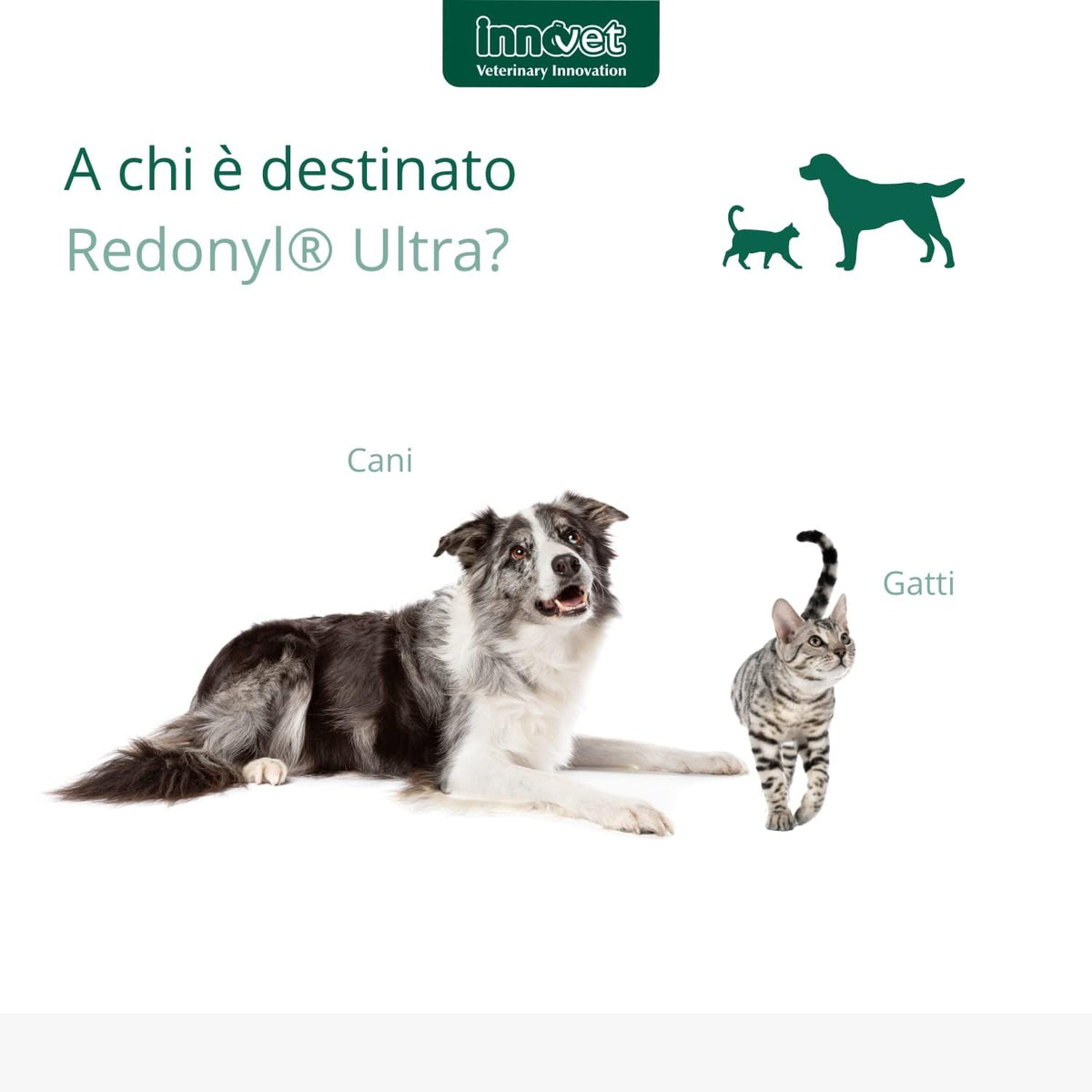 Innovet Redonyl Ultra 50 mg Skin Support - 60 Capsules - image 4