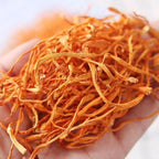 SIFANGDA Cordyceps Flower 虫草花/Dried Cordyceps Mushroom