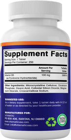 Vitamatic Vitamin B6 100 mg Tablets - 250 Count - image 8