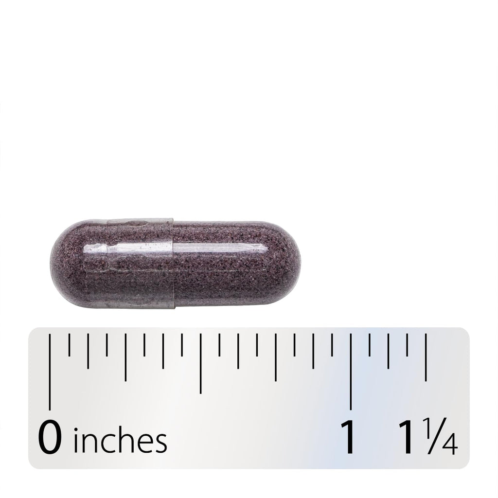 Nature's Way Bilberry Premium Extract