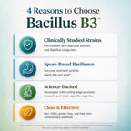 iEnzymes Bacillus B3 Spore-Based Probiotic + Enzymes - 60 Capsules - image 5