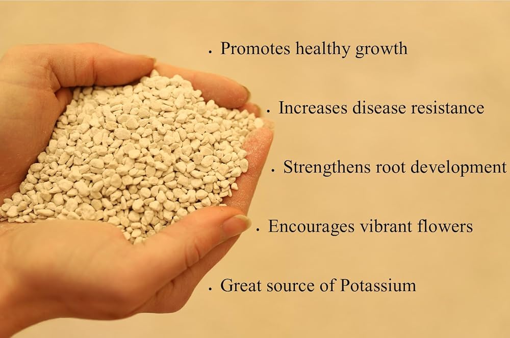 Potassium Sulfate - Lancaster Agriculture Products