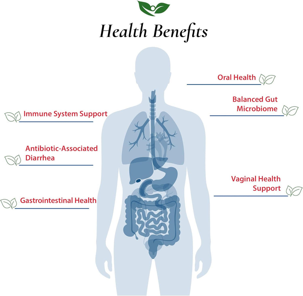Foods For Gut Lactobacillus Rhamnosus GG Probiotic Powder - 30g - image 4