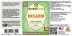 Herbal Terra LLC Mullein (Verbascum Densiflorum) Tincture