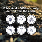 Moerie Fulvic & Humic Acid Trace Mineral Drops - 2 fl oz - image 3