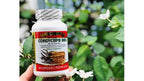 Generic Cordyceps Dietary Supplement 950 - 1 Pack - image 5