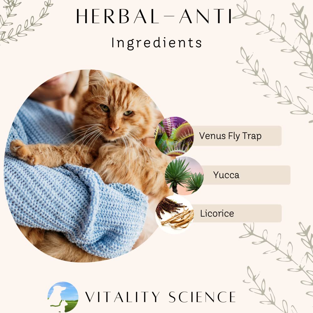 Vitality Science Advanced Immune Restoration Supplements for Cats - Large - image 5
