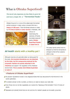 SynB 100 Billion CFU Probiotic with 47 Fermented Plants - 60 Capsules - image 4