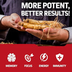 Herbtonics Korean Red Panax Ginseng 1500mg for Energy - 120 Vegan Capsules - image 6