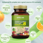 oppuland Vitamin B Complex Supplement - 60 Vegetarian Capsules - image 3