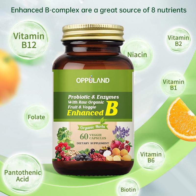 oppuland Vitamin B Complex Supplement - 60 Vegetarian Capsules - image 3