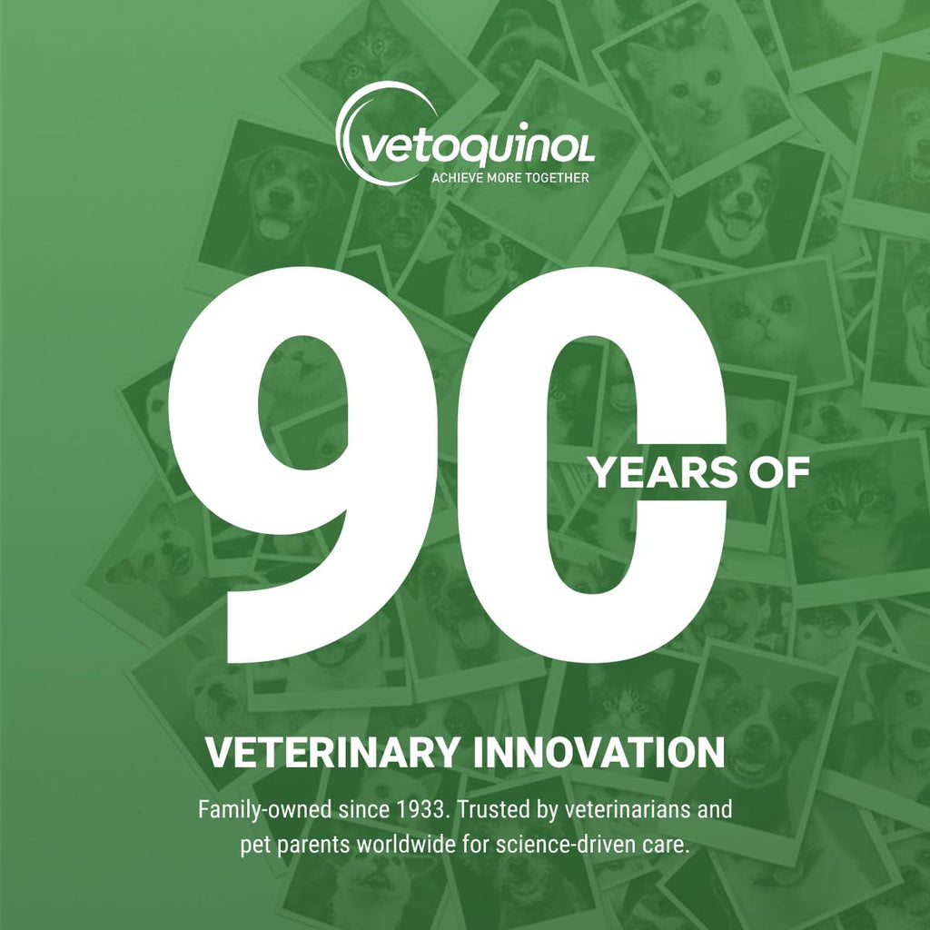 Vetoquinol Viralys Lysine Powder for Cats - 100 g - image 7