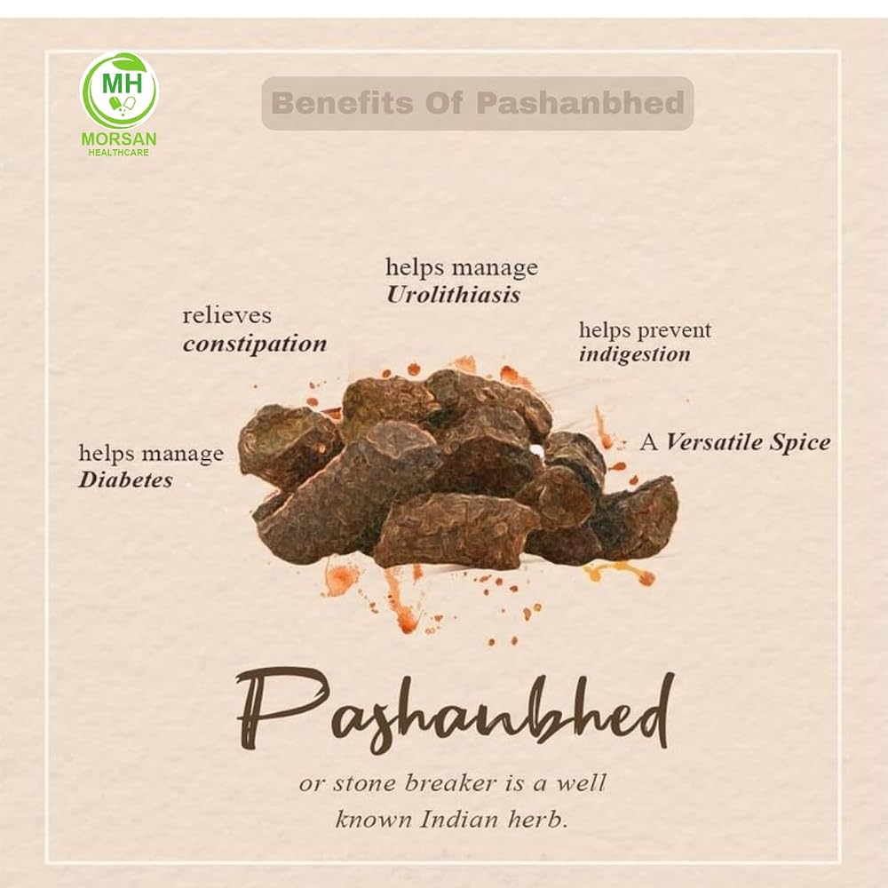Morsan Healthcare Pashanabheda Powder - 120 Vegetarian Capsules - image 4