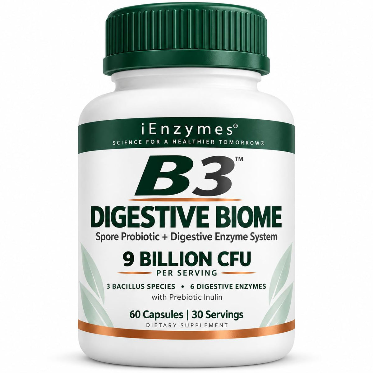 iEnzymes Bacillus B3 Spore-Based Probiotic + Enzymes - 300 Capsules