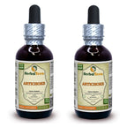 Herbal Terra Artichoke Tincture Liquid Extract - 4 Fl Oz (2x2 Fl Oz)