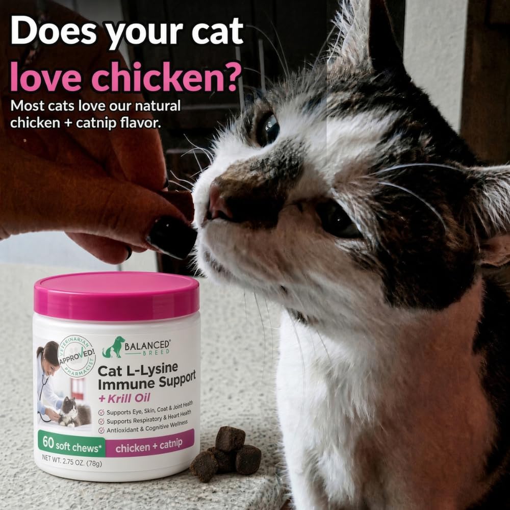 Balanced Breed L-Lysine Cat Treats Immune Support - 60 Chews - image 7