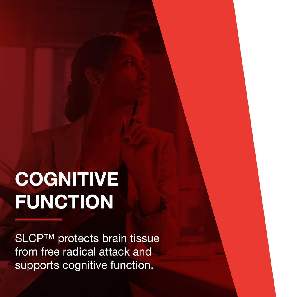 PROTOCOL FOR LIFE BALANCE Cogumin SLCP 400mg Curcumin Brain Support - image 8