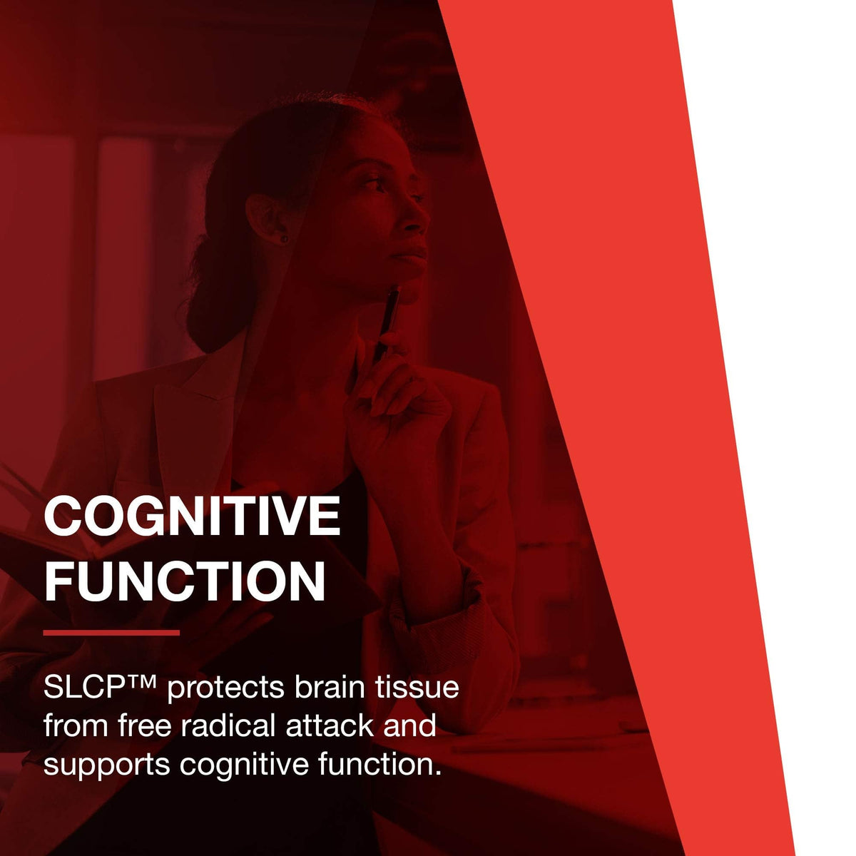 PROTOCOL FOR LIFE BALANCE Cogumin SLCP 400mg Curcumin Brain Support - image 8