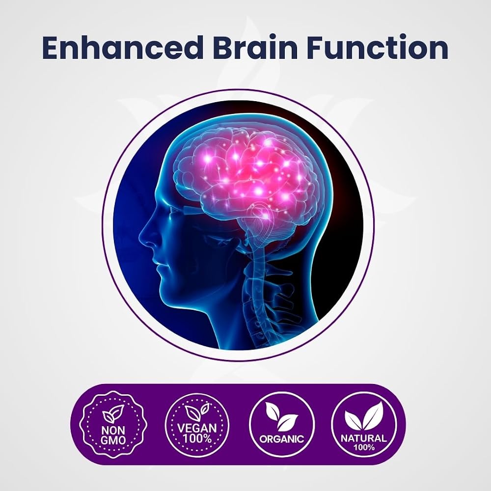 AZ BIOTECH Lions Mane Mushroom Extract Brain Supplement - 90 Capsules - image 2