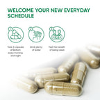 FRIEND OF DOROTHY - Bottom Fiber Supplement for Effortless Prep Time
