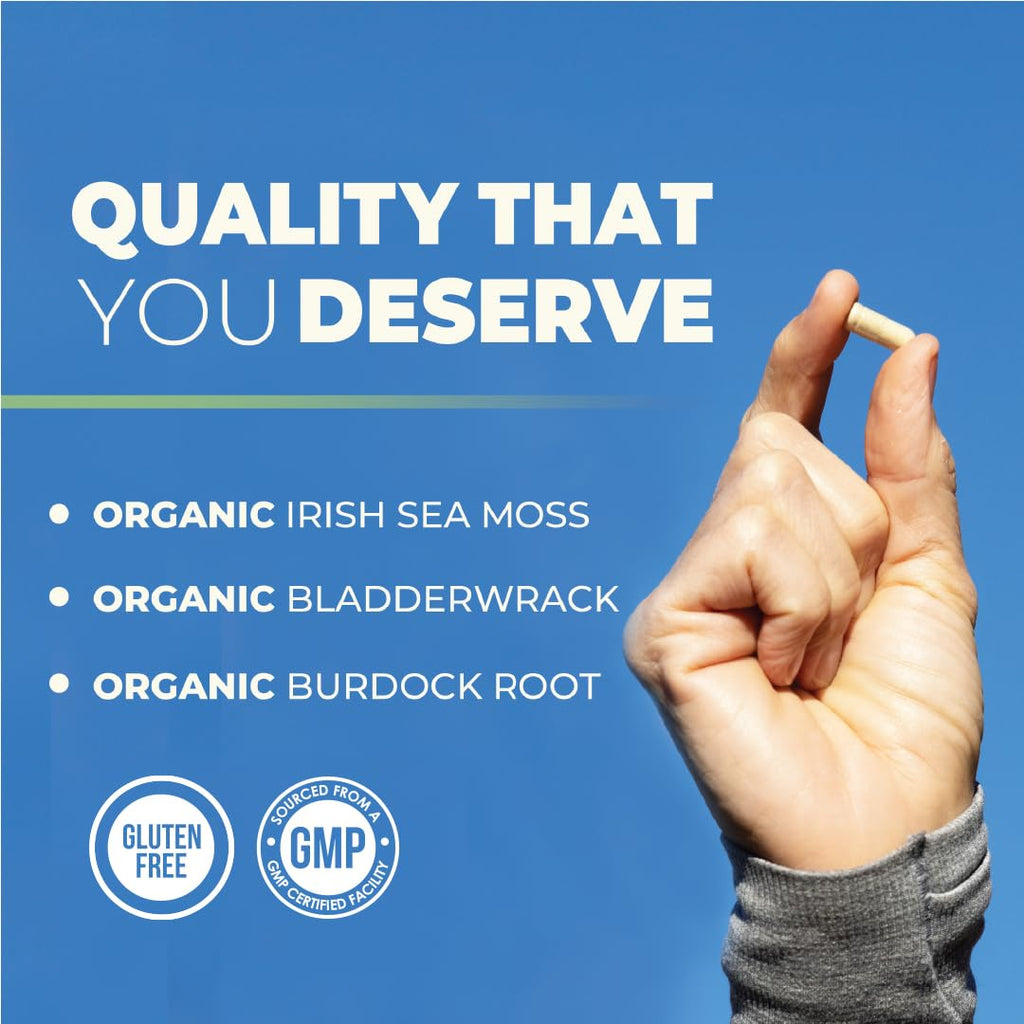 Nobi Nutrition Irish Sea Moss Capsules with Burdock Root - 90 Count - image 2