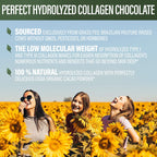 Perfect Supplements Hydrolyzed Collagen Chocolate Powder - 396g - image 4