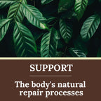HI WELL Premium Propolis MGO 830+ Extract - 30ml - image 4