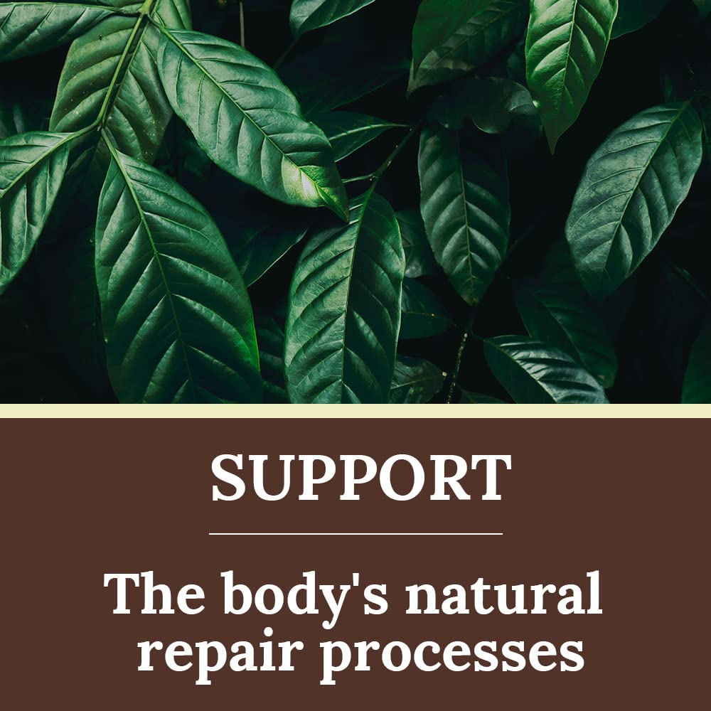 HI WELL Premium Propolis MGO 830+ Extract - 30ml - image 4