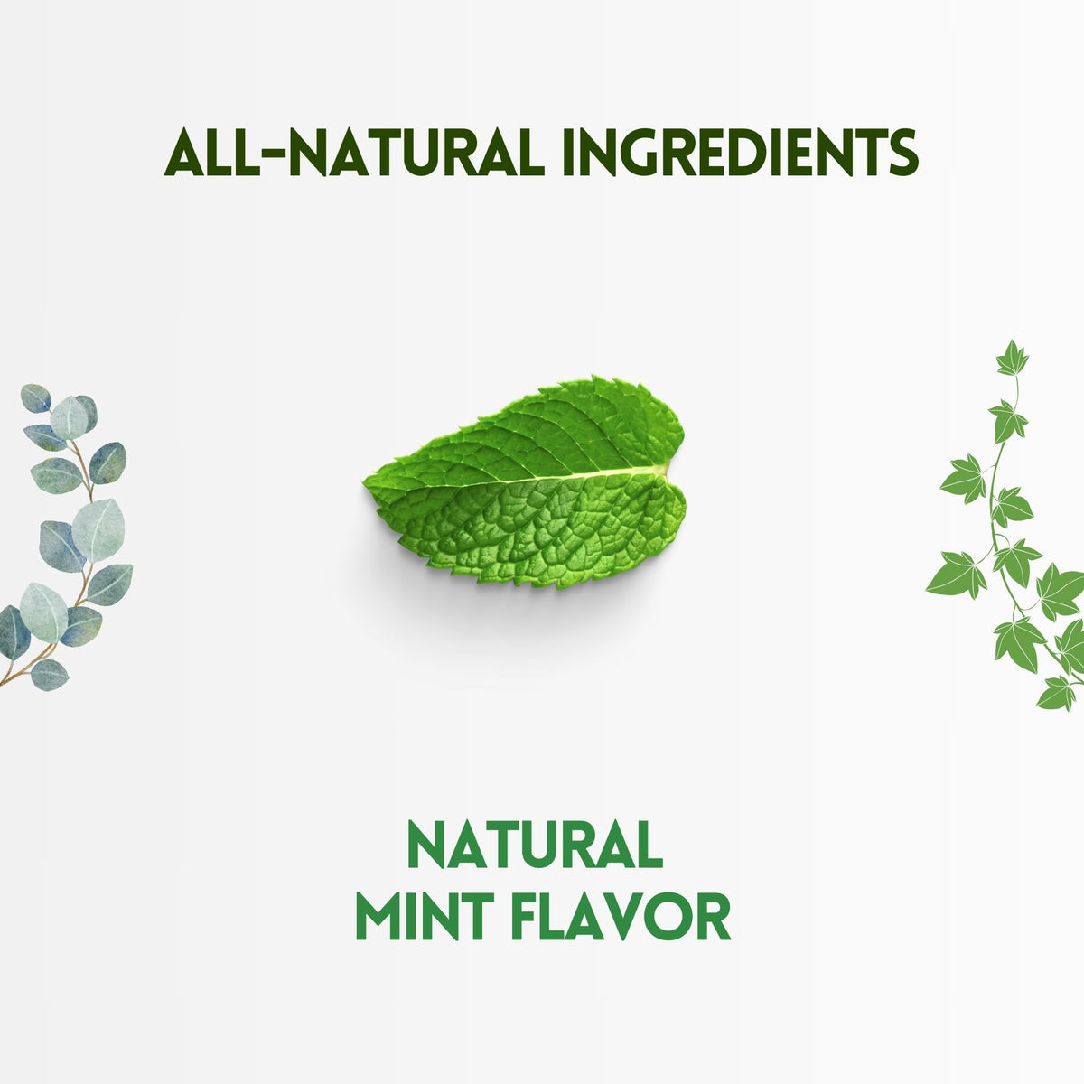 HERBION Naturals Sugar-Free Mint Cough Drops with Stevia - 108 Count - image 4