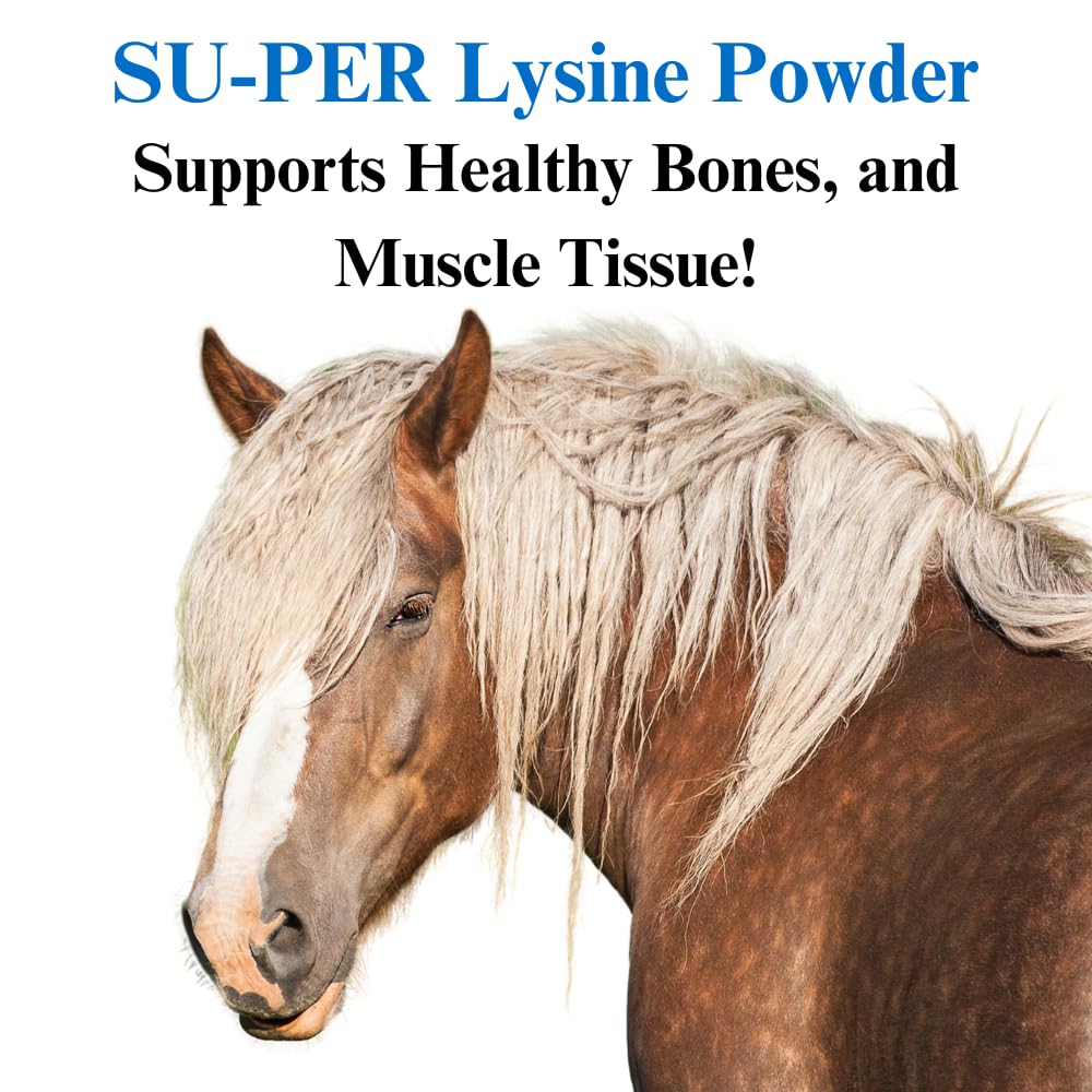 SU-PER Lysine Supplement for Horses - 2.5 Pound Powder - image 3