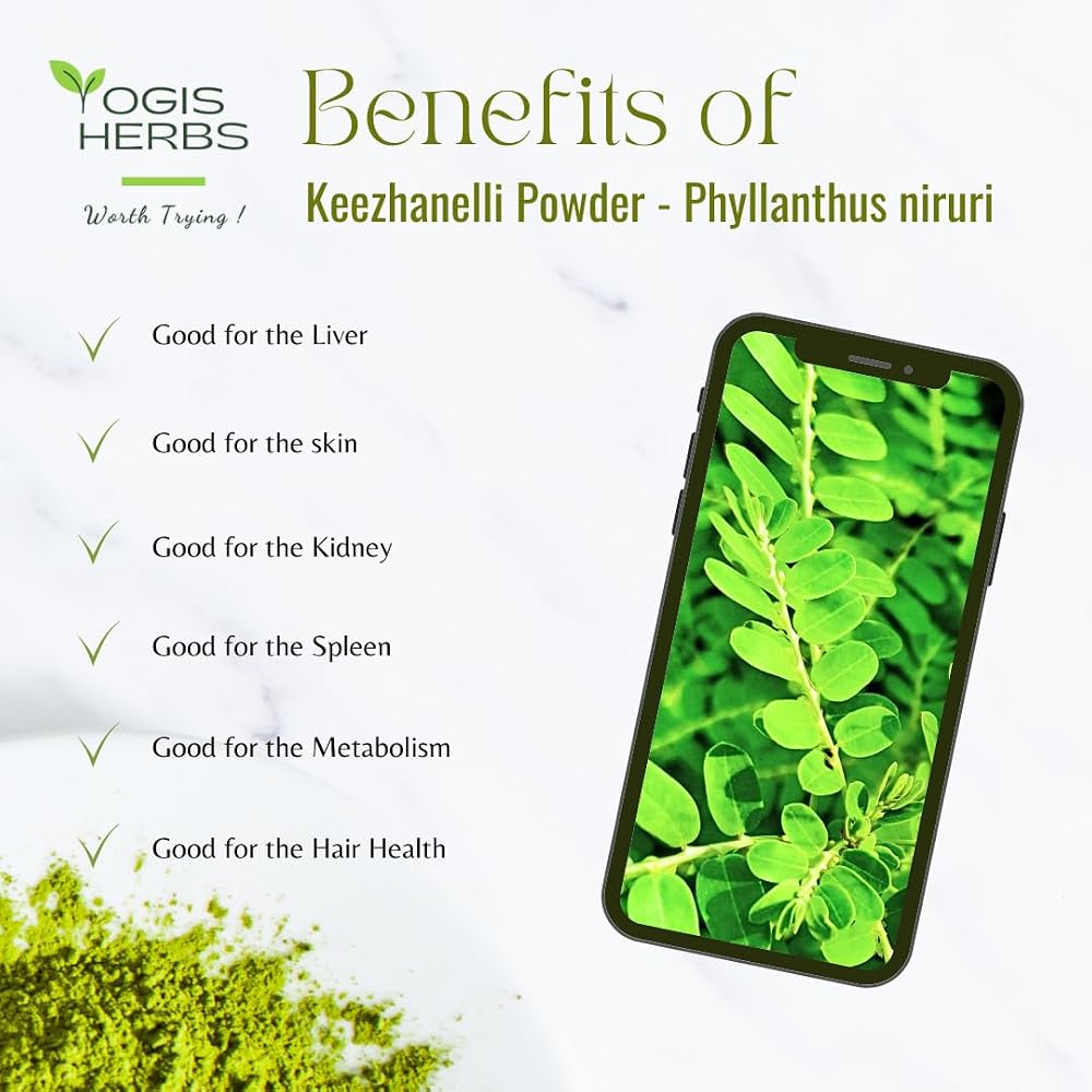 YOGIS HERBS Keezhanelli Powder (Phyllanthus Niruri)