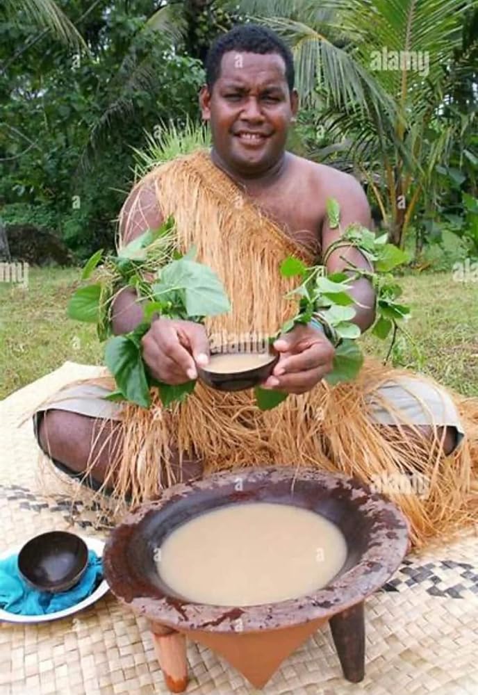 Enjoy Kava Vanuatu Root Powder Noble Kava - 3 x 1/2 Lb - image 3