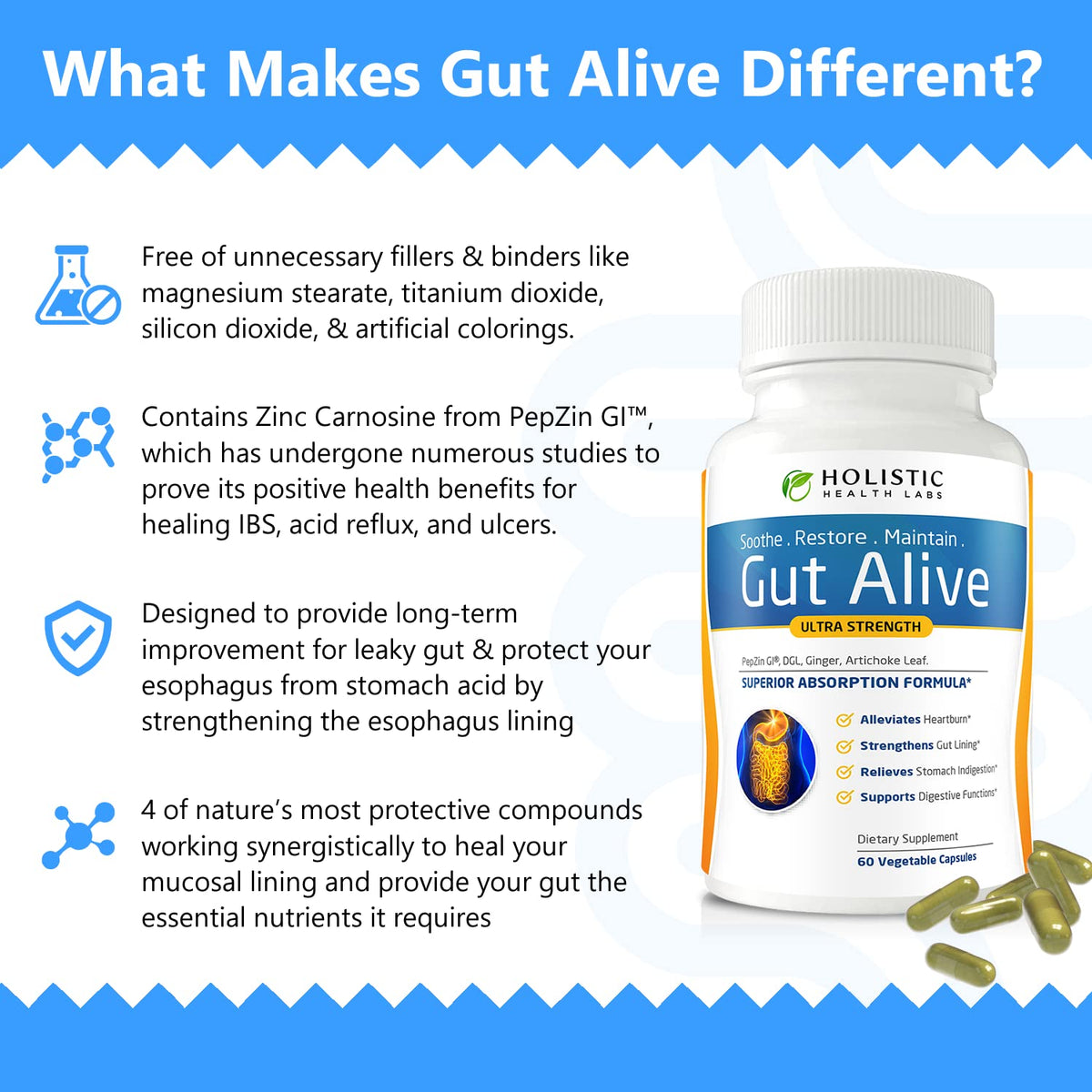 Holistic Health Labs Gut Alive Digestive Support - 60 Capsules - image 3