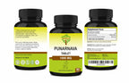 SunNature Punarnava Tablets Herbal Supplement - 90 Tablets - image 4