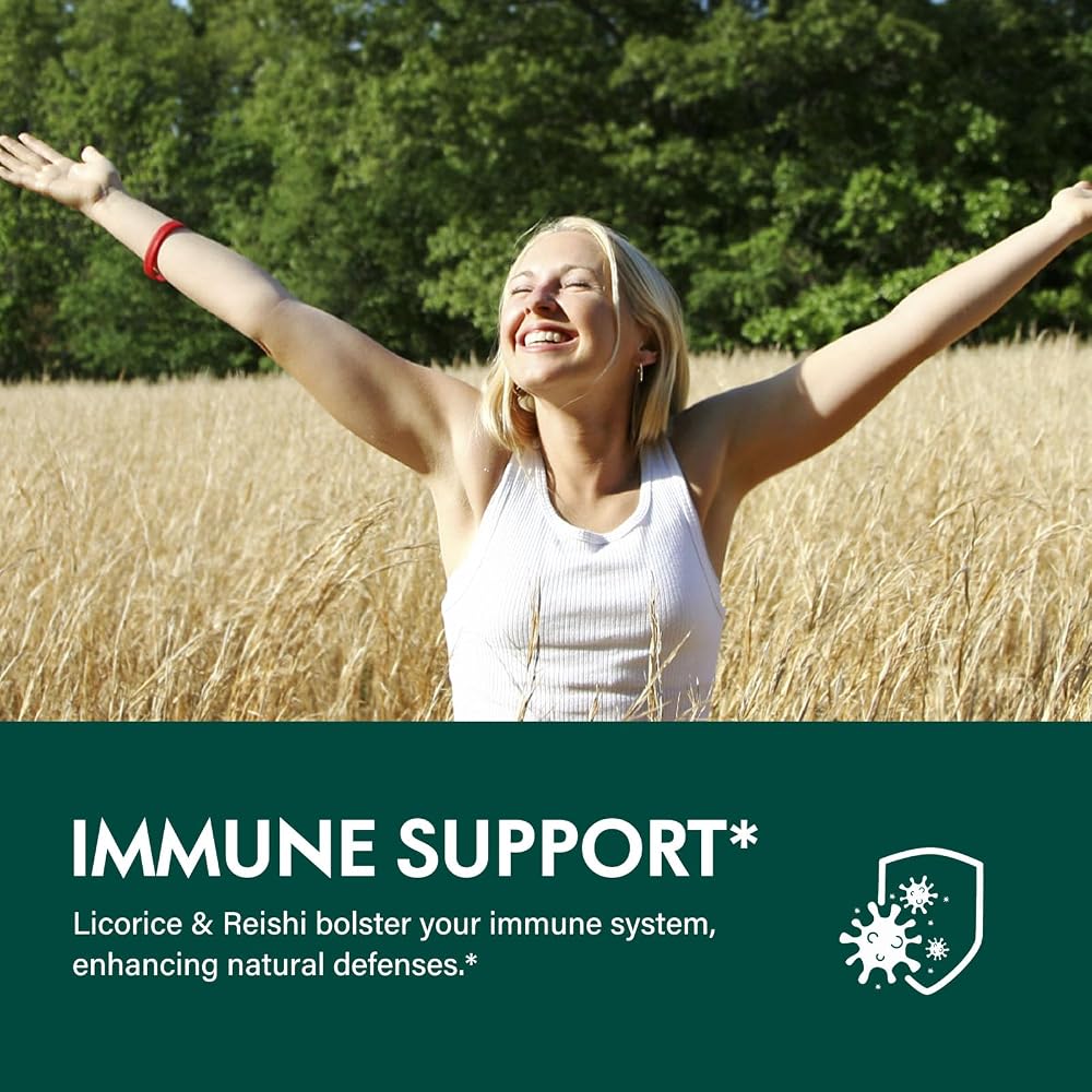 Selvaherb Burdock Root Organic Tincture for Liver Support - 2 Fl Oz - image 3