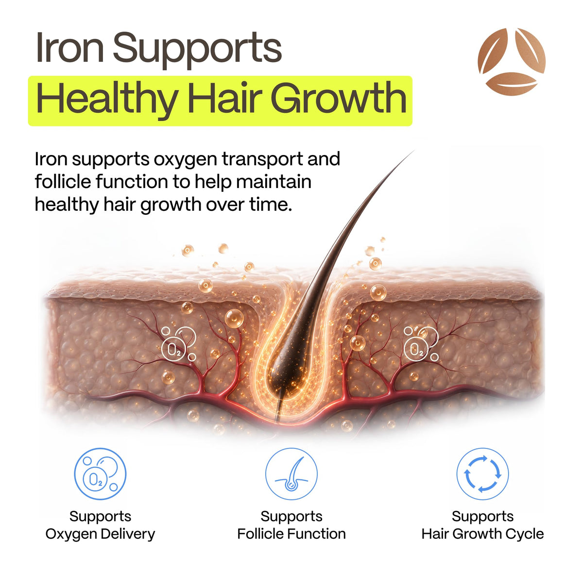 Advanced Trichology DermaIRON Iron Supplement - 60 Capsules - image 4