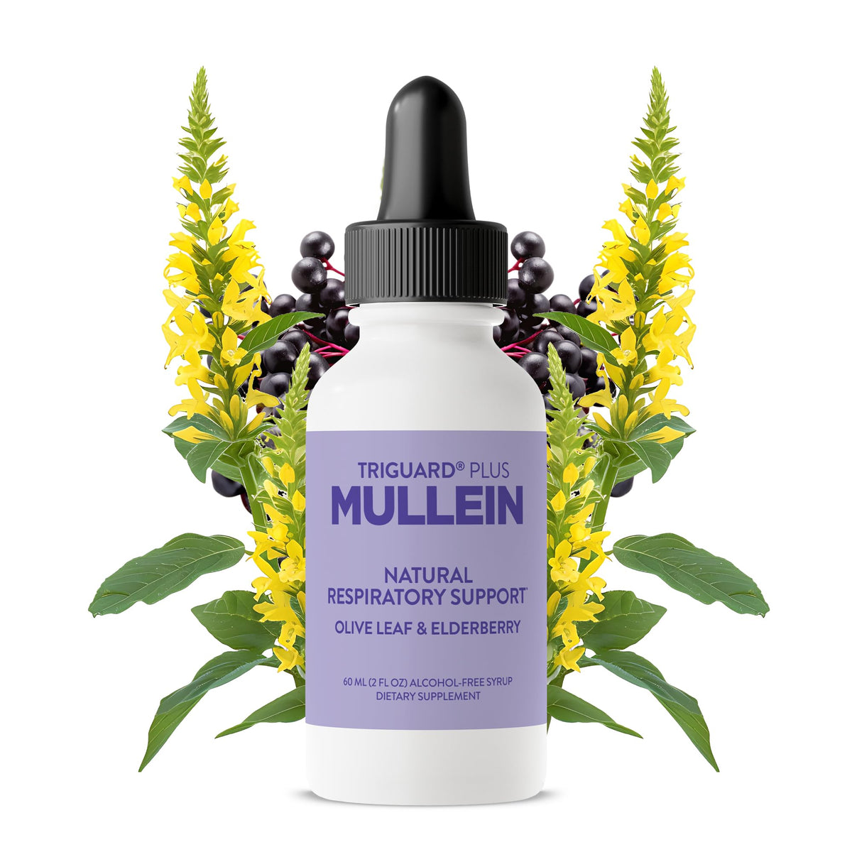 Oxygen Nutrition TriGuard Mullein Plus Liquid - 2 fl oz