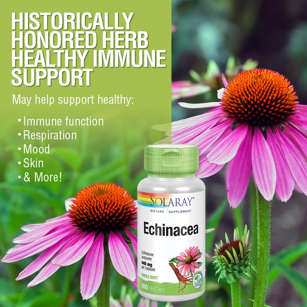 SOLARAY Echinacea Purpurea Root 440 mg Immune Support - 100 Vegetarian Capsules - image 4