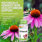 SOLARAY Echinacea Purpurea Root 440 mg Immune Support - 100 Vegetarian Capsules - image 4