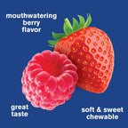 WellYeah Probiotics for Women Gummies 10 Billion CFU - 60 Gummies - image 5