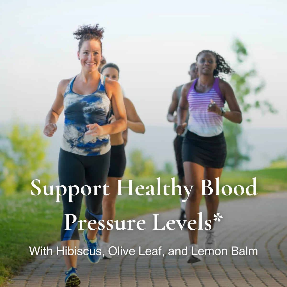 Utzy Naturals Hiburil Heart & Circulation Support - 90 Capsules - image 3