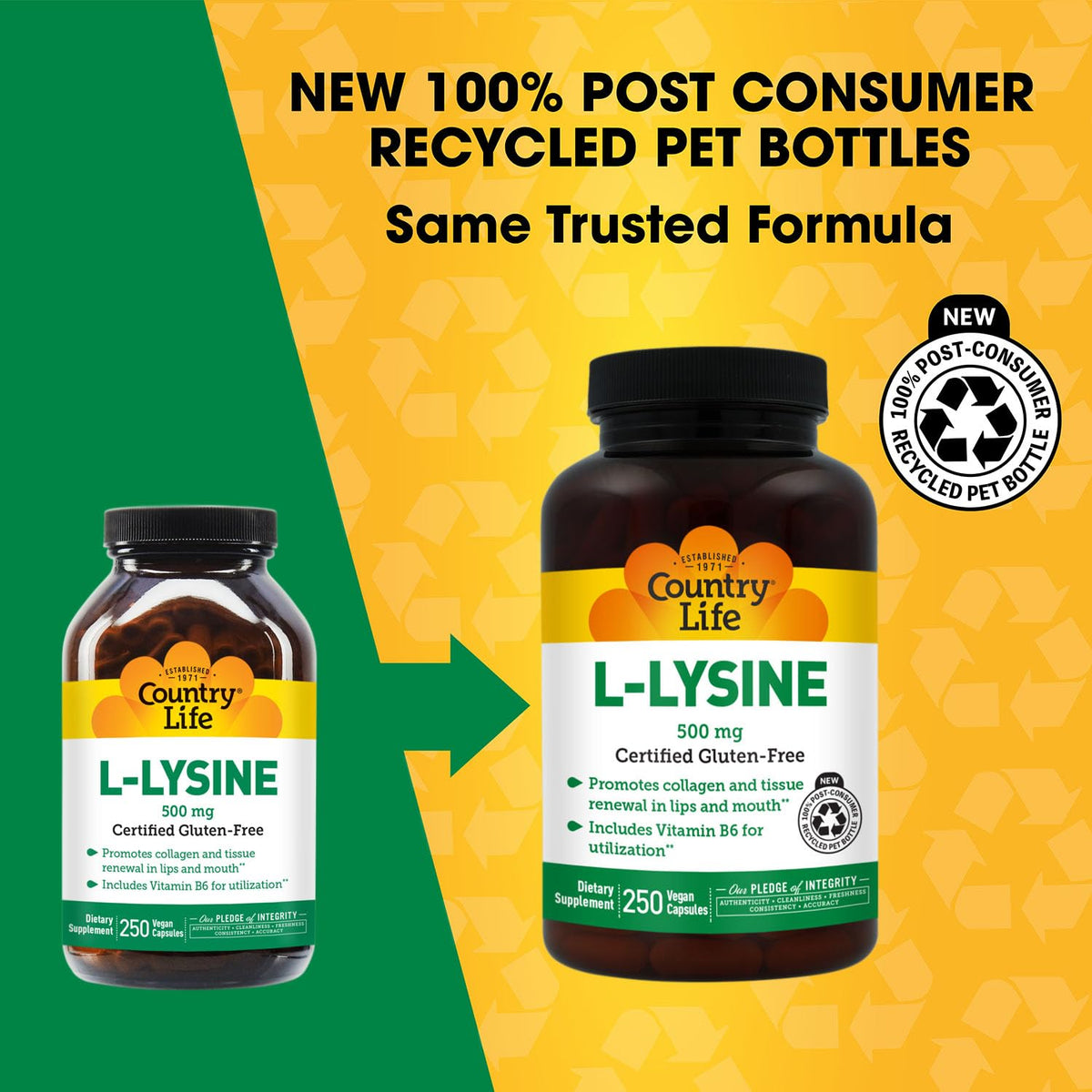 Country Life L-Lysine 500mg with B-6 - 250 Vegan Capsules - image 2