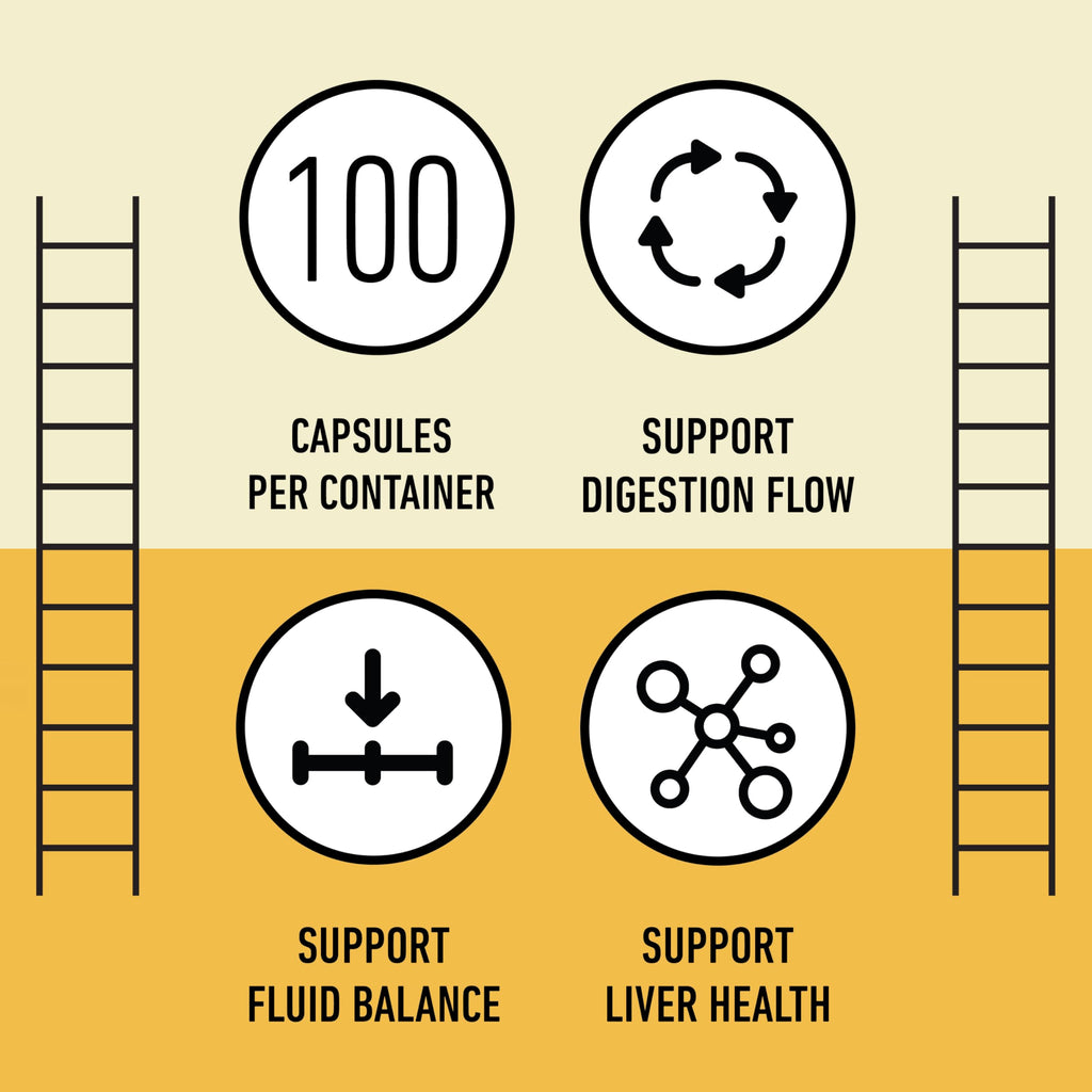 Complete Natural Products Dandelion Root 600mg Capsules - 100 Count - image 8