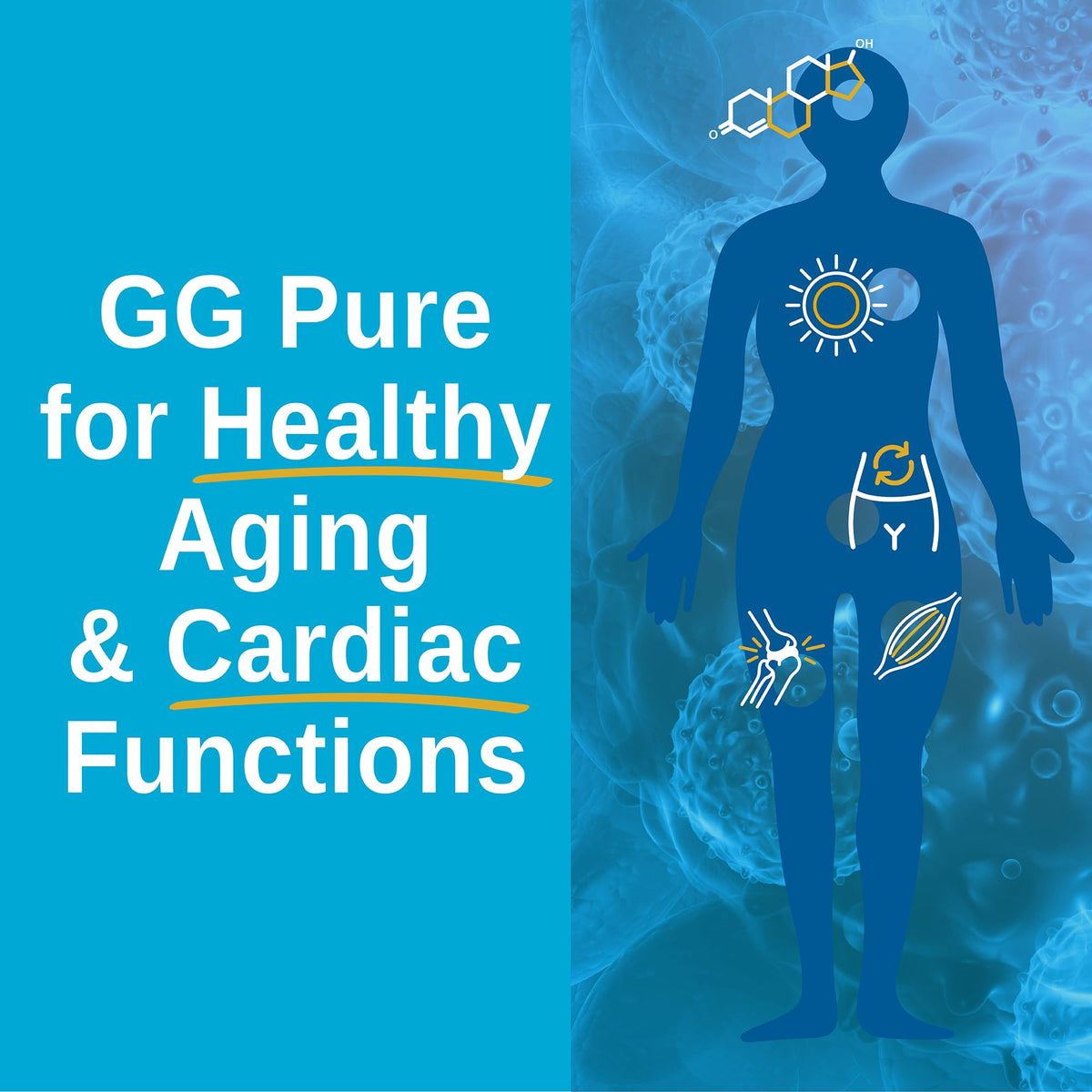 Xtendlife GG Pure Geranylgeraniol Supplement - 30 Capsules - image 5