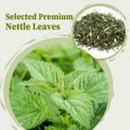 FullChea Nettle Leaf Tea Bags for Eye Health - 25 Count - image 2